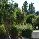 blog_canal