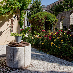 patio casa zorrilla