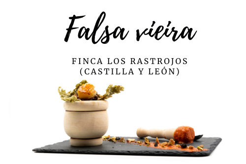 Falsa vieira