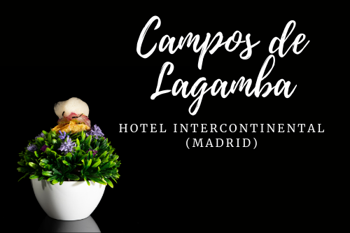 Campos de lagamba