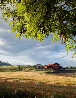 No hay imagen disponible de Bodegas César Príncipe