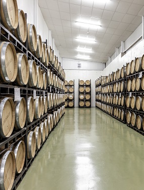 Imagen de la bodega