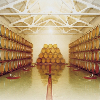 Imagen de la bodega