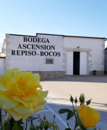 No hay imagen disponible de Bodegas Ascensión Repiso Bocos