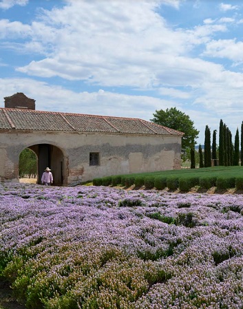 Imagen de la bodega