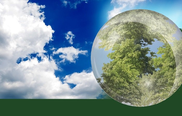 No hay imagen disponible de Bosques y cambio climático: un futuro abierto