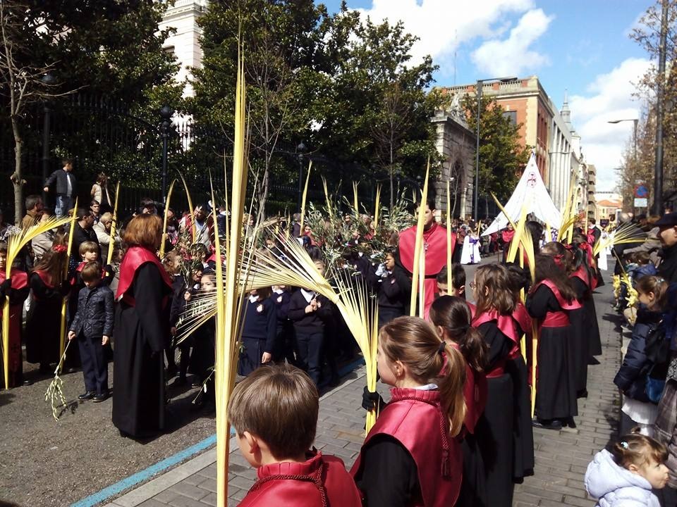 No hay imagen disponible de Procesión de las Palmas