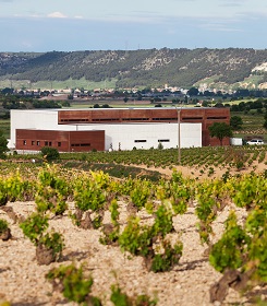 Imagen de la bodega