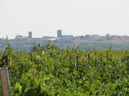 Imagen de la bodega